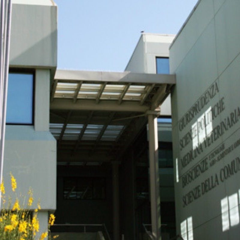diritto dell'energia