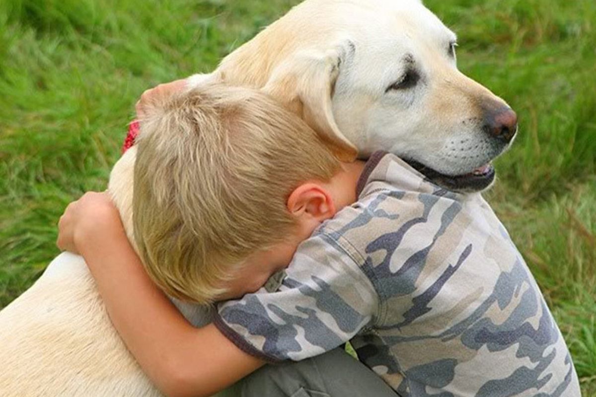 pet therapy