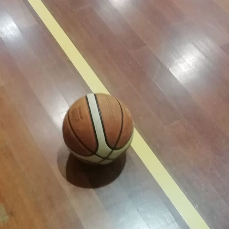 antoniana basket